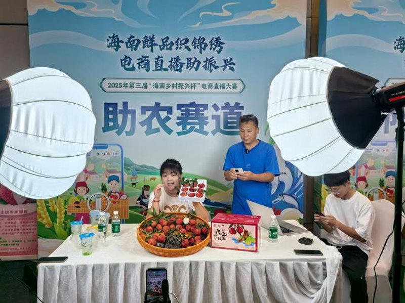 海口电子商务中心：线上交易新引擎