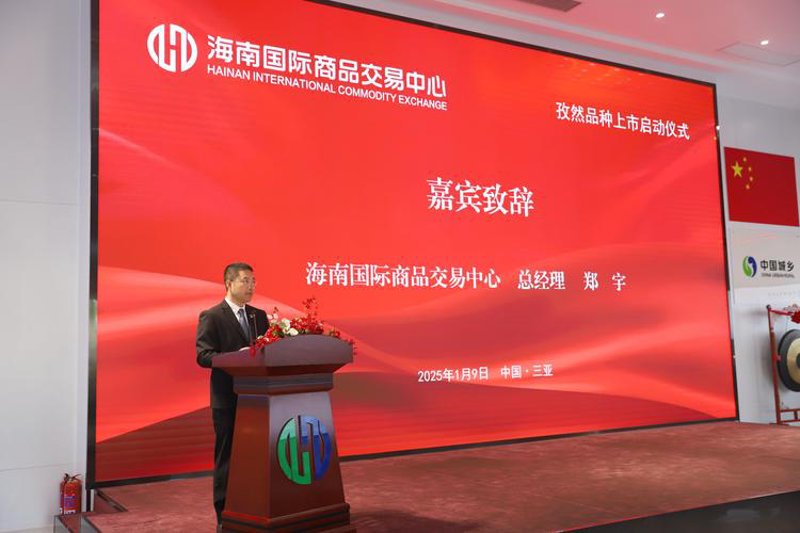 海南电商平台引领未来商业发展